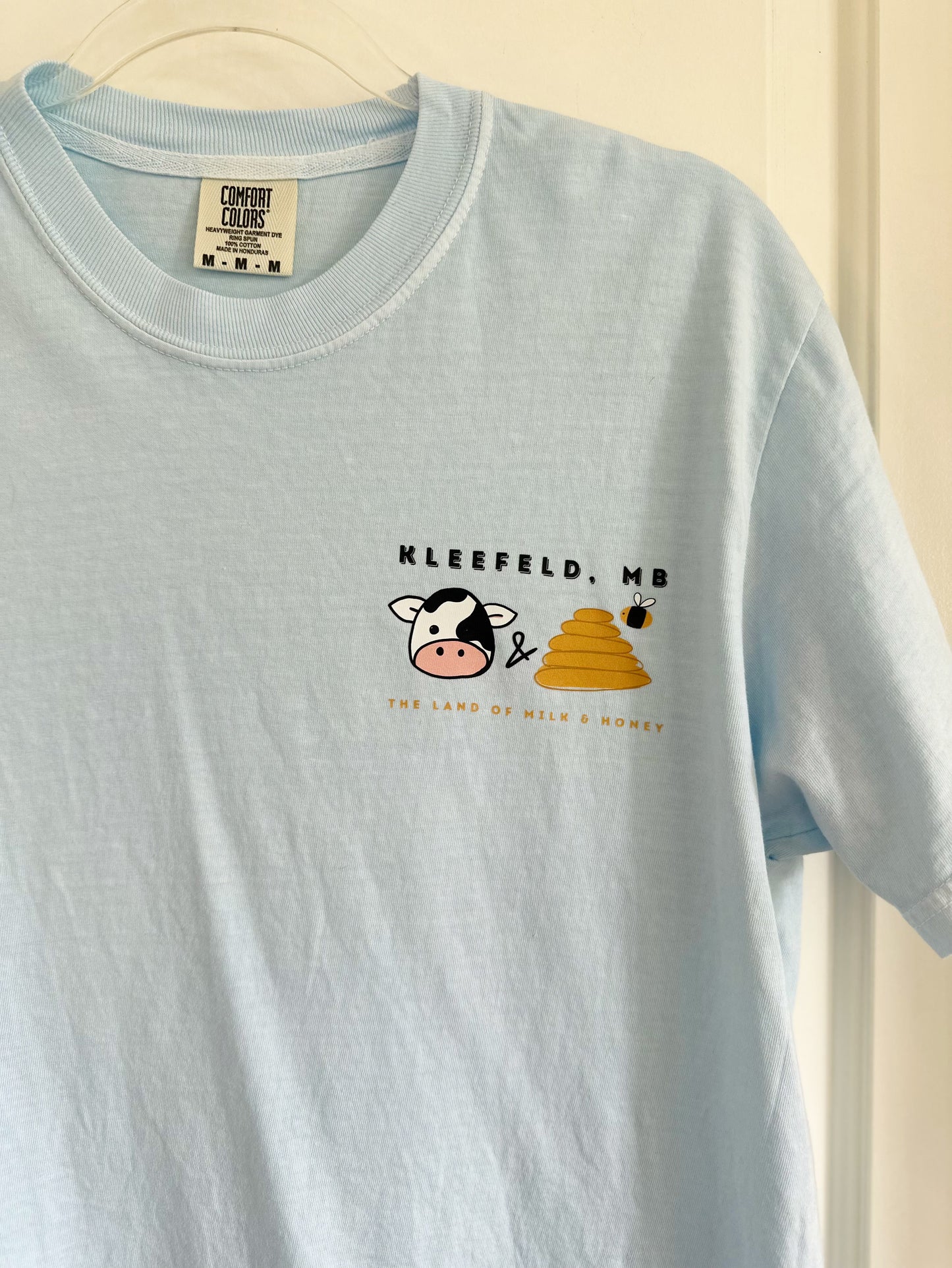 | Comfort Colors Tshirt (Copy)