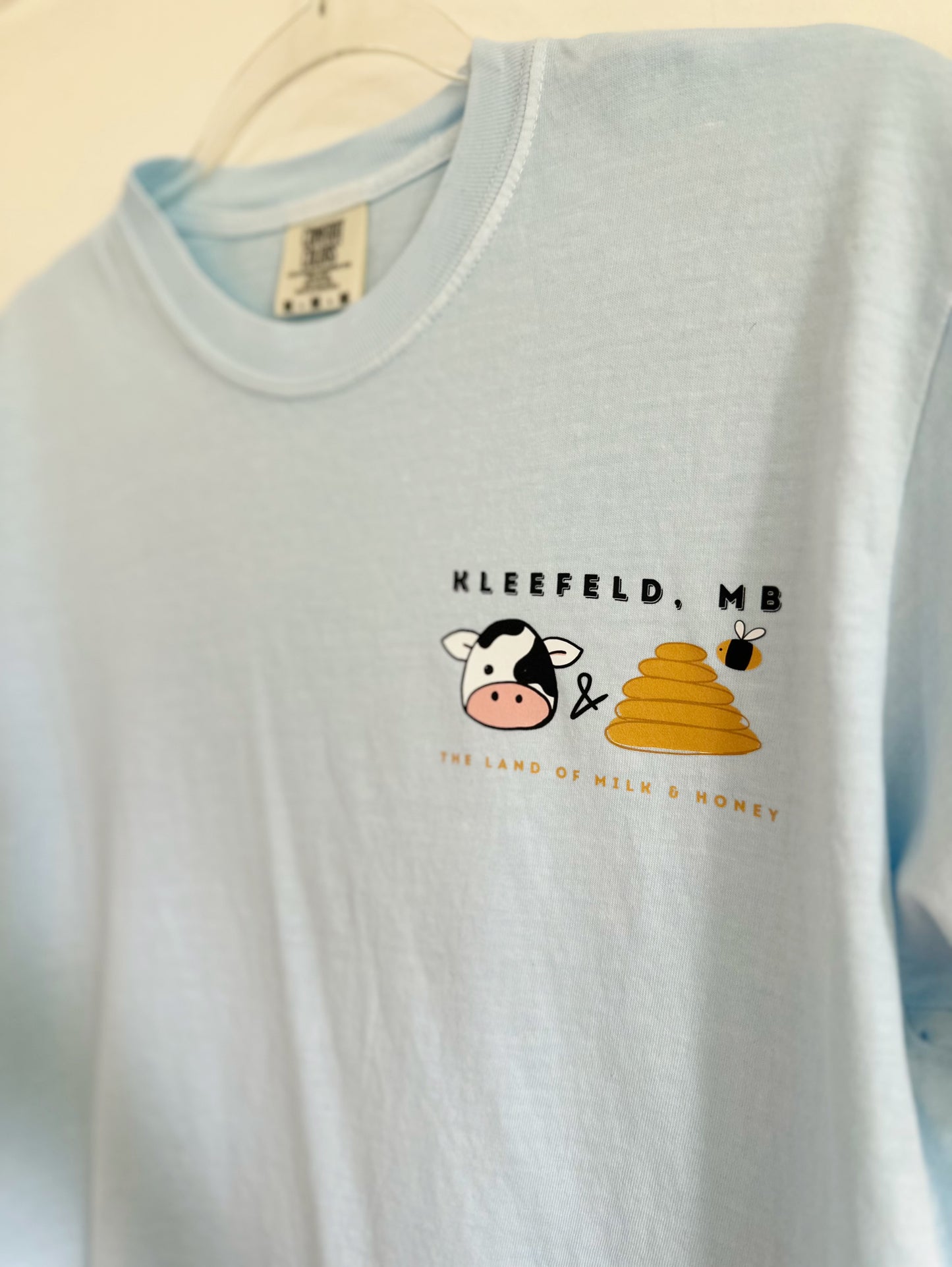 | Comfort Colors Tshirt (Copy)