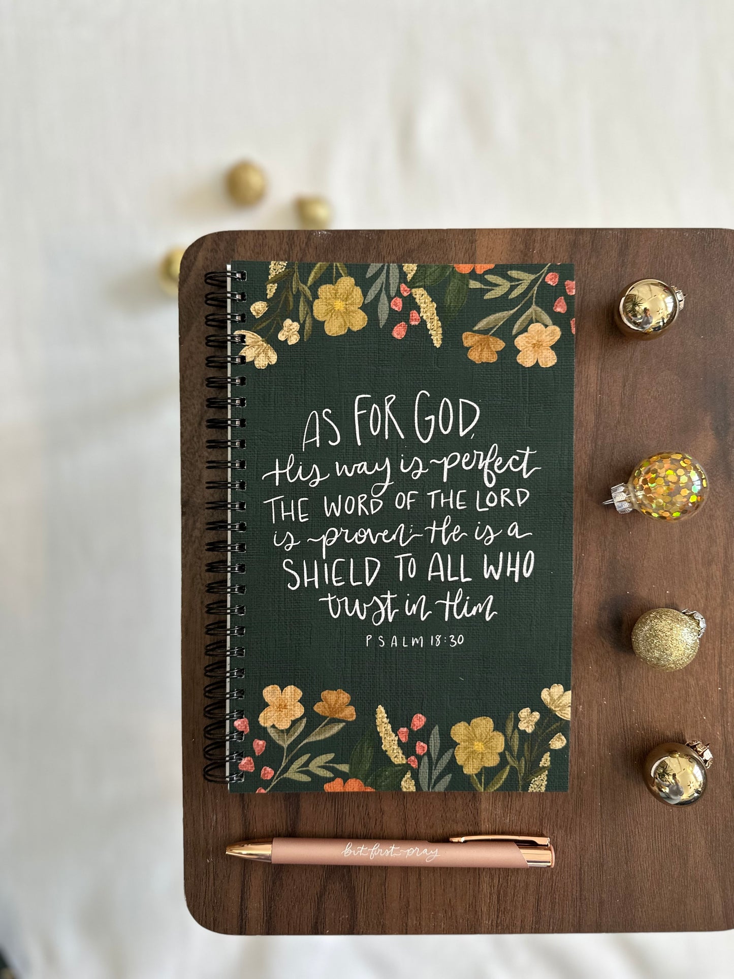 Journal | as for God his way is perfect…