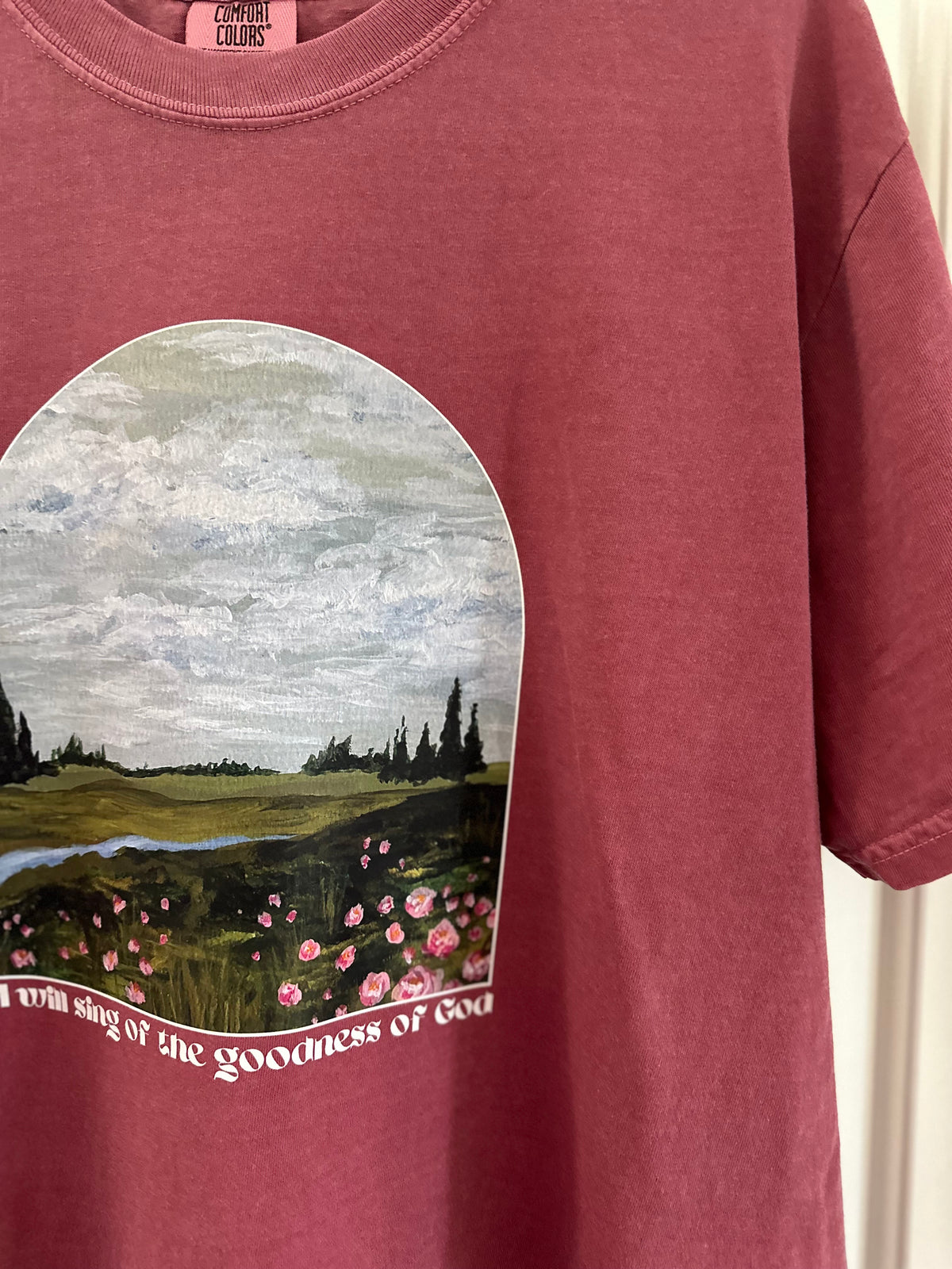 I will sing of the goodness of God | Comfort Colors Tshirt (Copy)