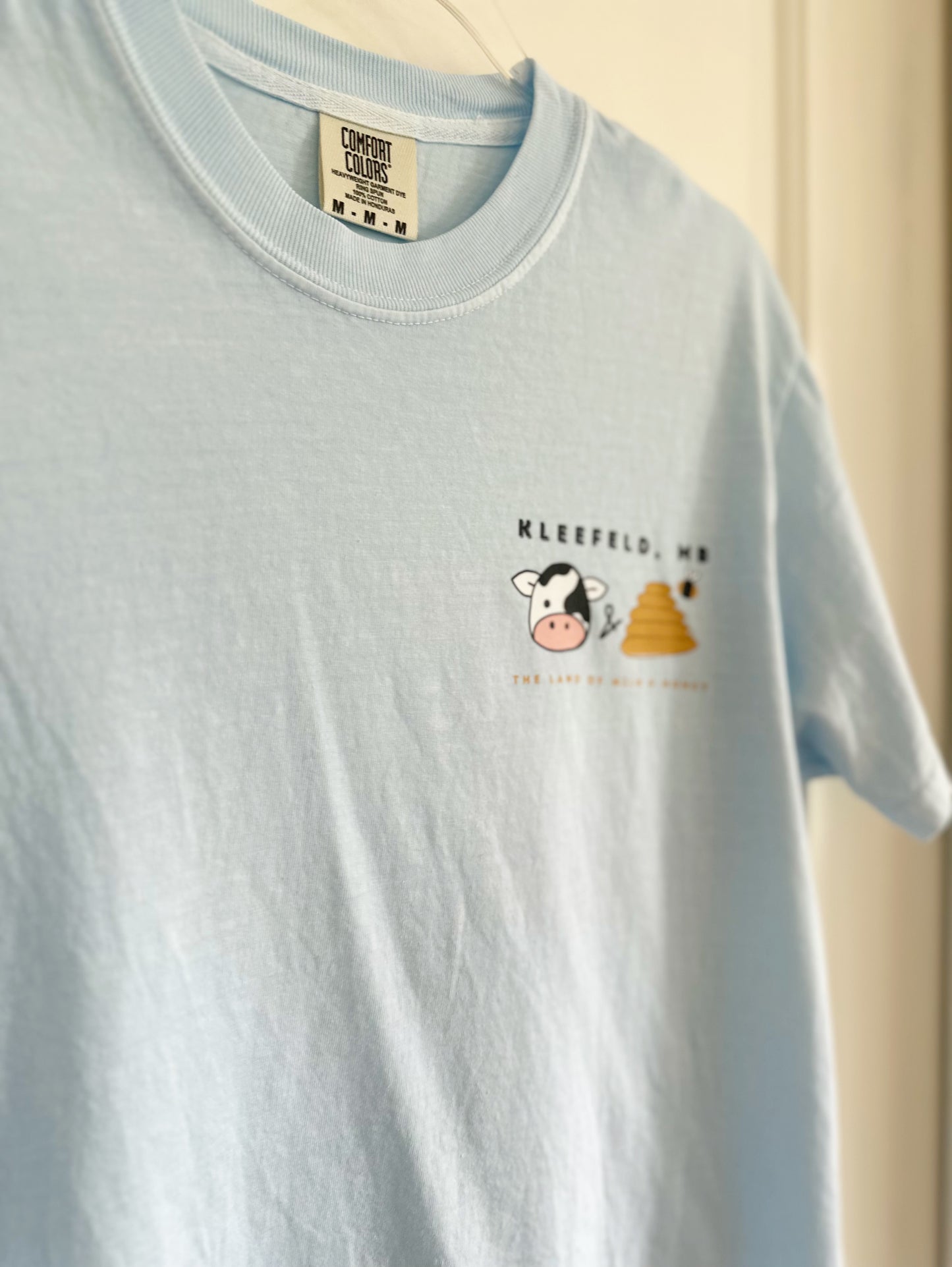 | Comfort Colors Tshirt (Copy)