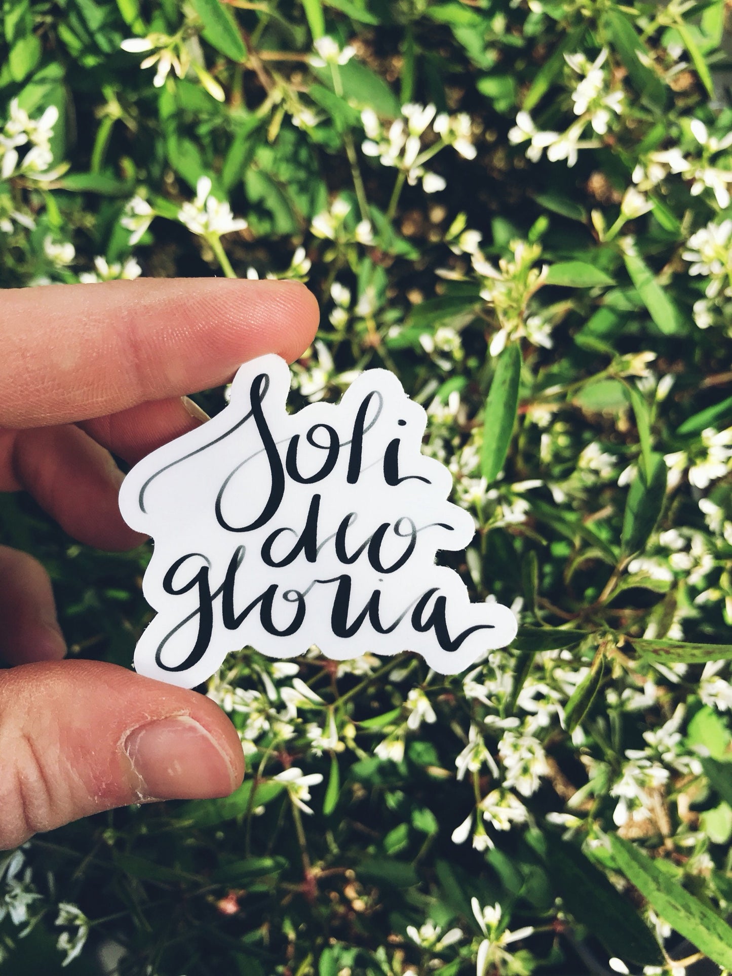Vinyl Sticker | Soli Deo Gloria | christian sticker | laptop sticker | Hydroflask sticker