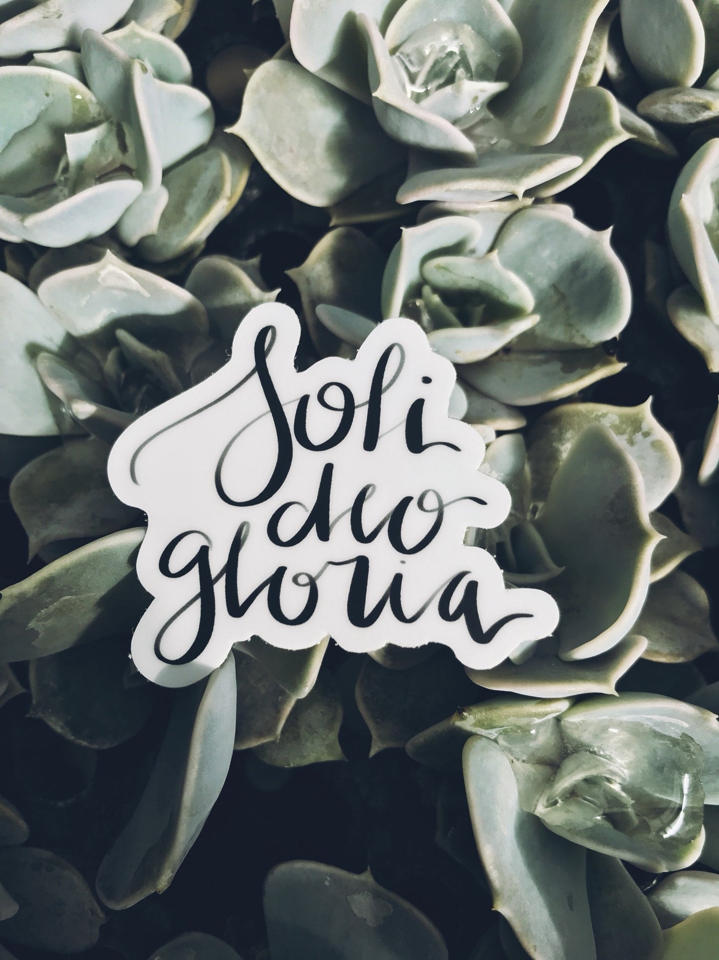 Vinyl Sticker | Soli Deo Gloria | christian sticker | laptop sticker | Hydroflask sticker