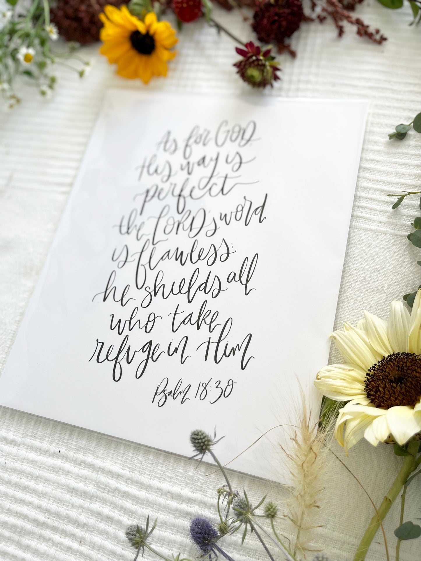 4x6, 5x7, 8x10, 11x14 | Physical Print | Psalm 18:30